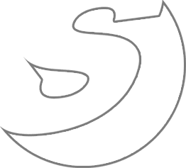 An abstract outline of an S.