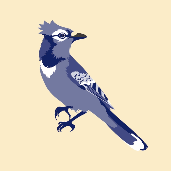 Rotating image switches between an illustrated bluejay and an anatomical illustration