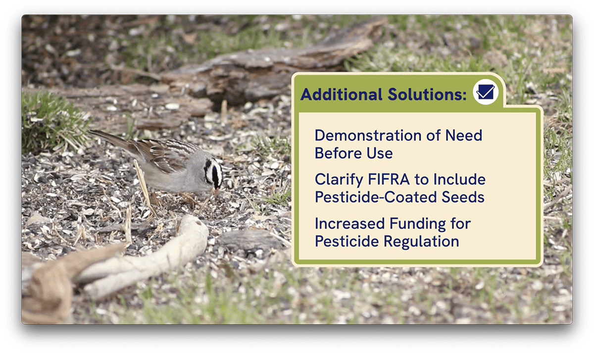 Still from ABC video: Additional Solutions: Demonstration of Need Before Use, Clarify FIFRA to Include Pesticide-Coated Seeds, Increased Funding for Pesticide Regulation