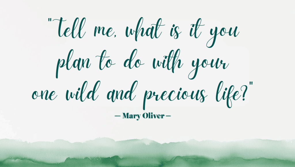 A picture of a quote from Mary Oliver that reads: Tell me, what is it you plan to do with your one wild and precious life?