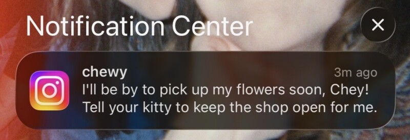 An Instagram notification from Chewy that reads "I'll be by to pick up my flowers soon, Chey! Tell your kitty to keep the shop open for me."